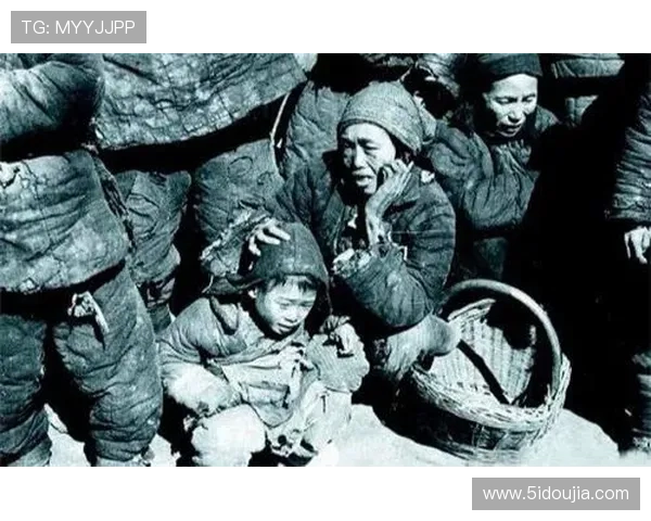 可怜的维罗纳四年急速坠落之路